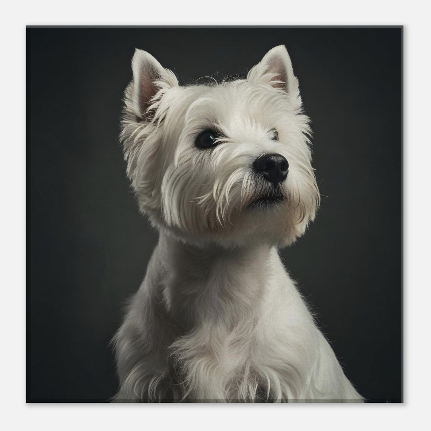 b9bc8a19-eb06-417a-9a0c-cc0900bd58e7